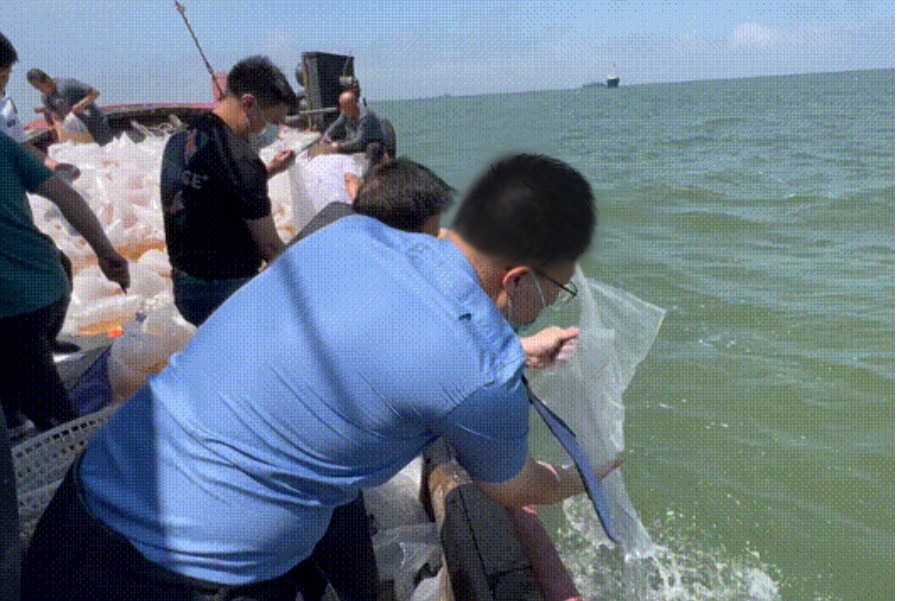 检苑心笺｜李金辉：我用脚步丈量公益诉讼的每一步